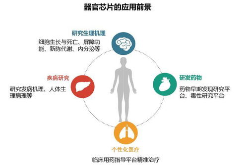 生物芯片技術 生物醫(yī)藥研發(fā)的新利器